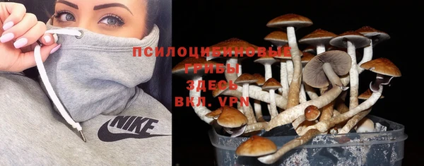 первитин Алзамай