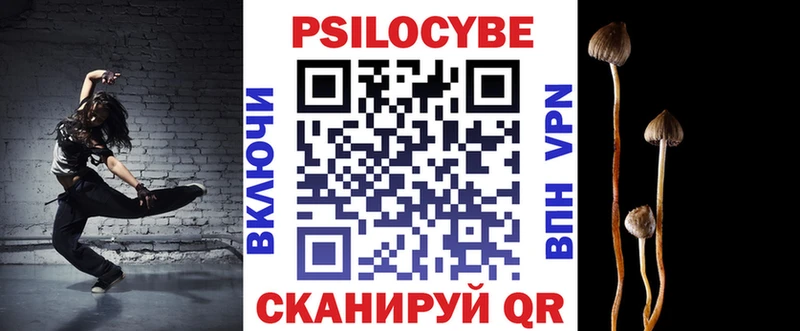 наркота  Каргат  mega рабочий сайт  Псилоцибиновые грибы прущие грибы 