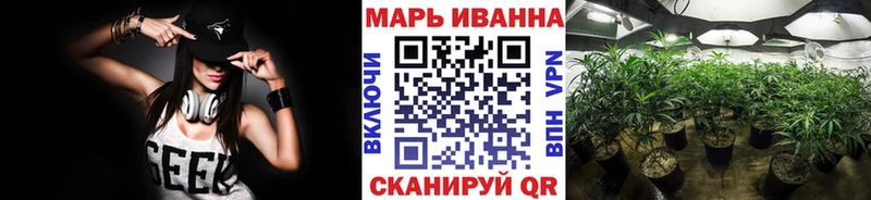 kraken как зайти  Каргат  Шишки марихуана тримм  наркота 